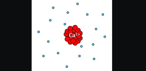 Ca2+_2