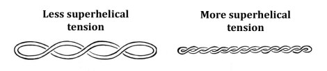 si_figure6