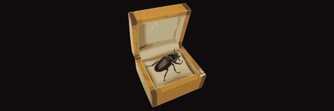 beetle in box