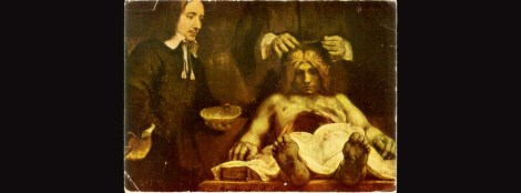 rembrandtdissection