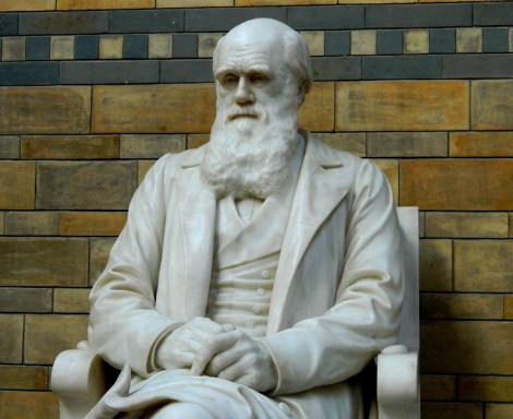 Darwin