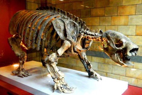 Giant_Ground_Sloth