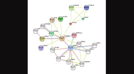 Screen Shot 2013-11-17 at 11.46.08 AM