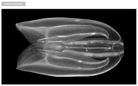 Screen Shot 2013-12-15 at 2.12.35 PM