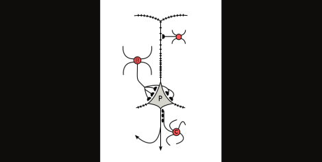 pyramid3-e1360112051823