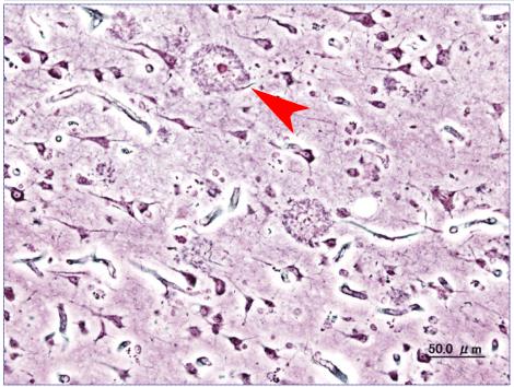 Screen Shot 2014-02-02 at 6.05.05 PM