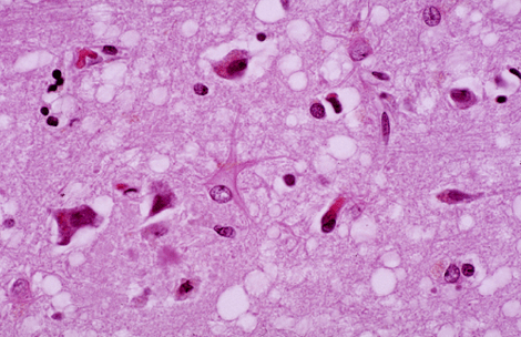 Screen Shot 2014-02-16 at 11.41.46 AM