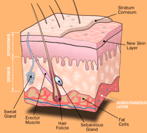 Screen Shot 2014-03-30 at 2.46.16 PM