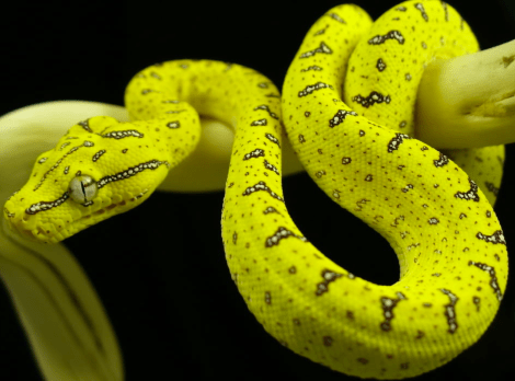 Screen Shot 2014-03-30 at 2.56.22 PM