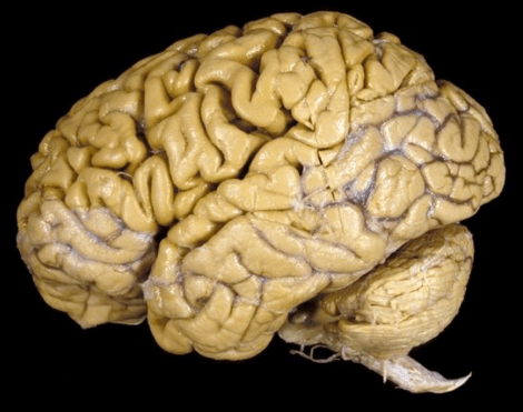 Screen Shot 2014-04-06 at 10.44.41 AM