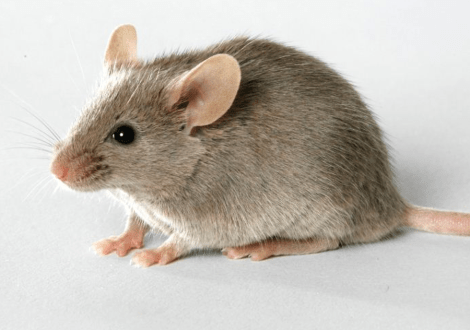 Screen Shot 2014-04-26 at 7.27.43 PM