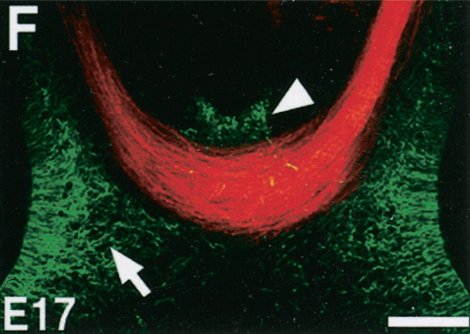 Screen Shot 2014-06-15 at 10.24.56 AM