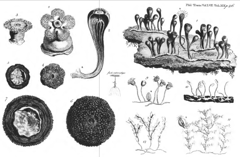 Screen Shot 2014-06-22 at 1.00.19 PM