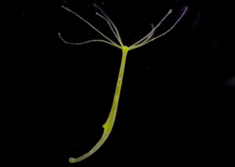 Screen Shot 2014-06-22 at 12.14.36 PM