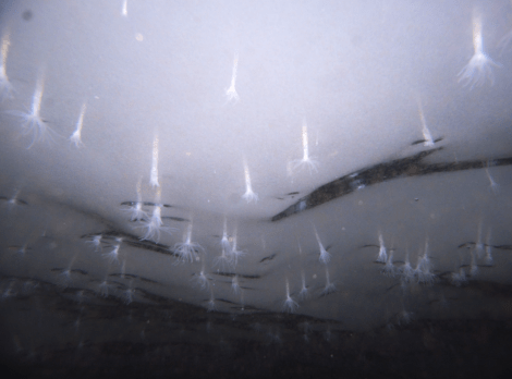 Screen Shot 2014-06-22 at 12.38.14 PM