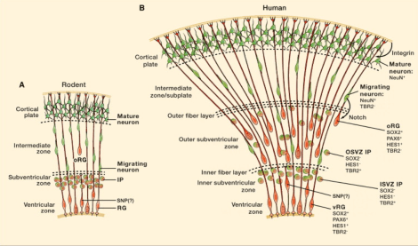 Screen Shot 2014-07-20 at 10.06.16 AM