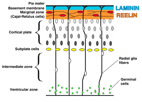 Screen Shot 2014-07-20 at 9.14.49 AM