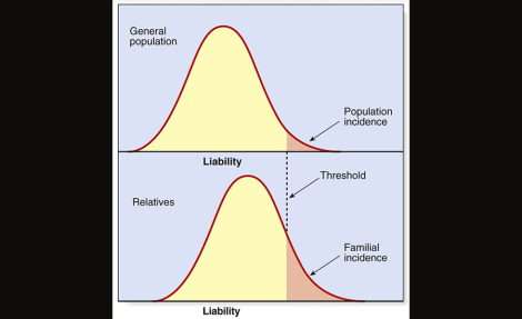 Screen Shot 2014-07-27 at 12.00.21 PM