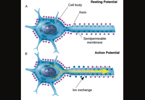 Screen Shot 2014-08-10 at 5.14.29 PM