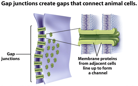 Screen Shot 2014-08-10 at 6.05.43 PM