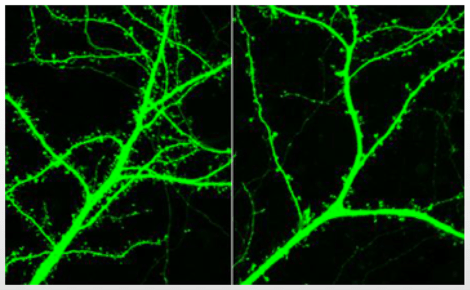 Screen Shot 2014-08-30 at 8.06.18 PM