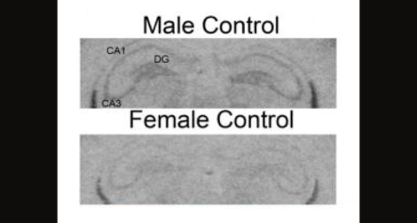 Screen Shot 2014-10-05 at 12.23.25 PM