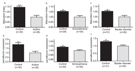 Screen Shot 2014-12-21 at 7.53.11 PM