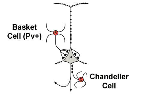 Screen Shot 2014-12-21 at 8.05.17 PM