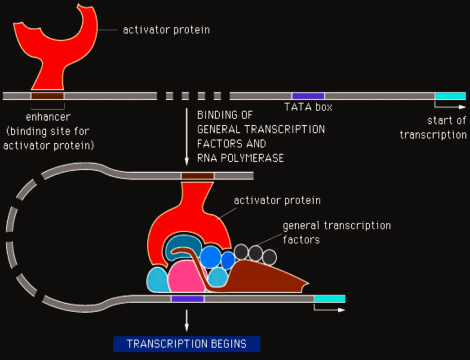 Screen Shot 2015-02-22 at 11.44.45 AM