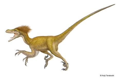 MM-deinonychus-illustration-BIG
