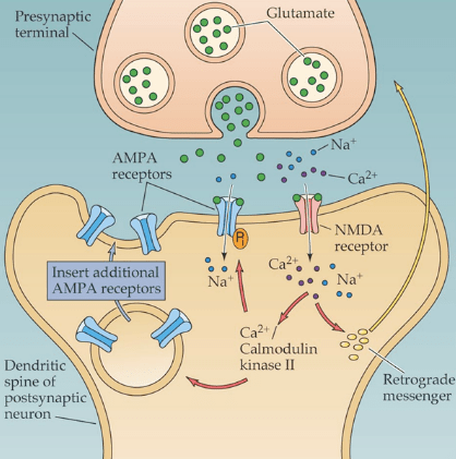 Screen Shot 2012-09-04 at 9.32.29 PM