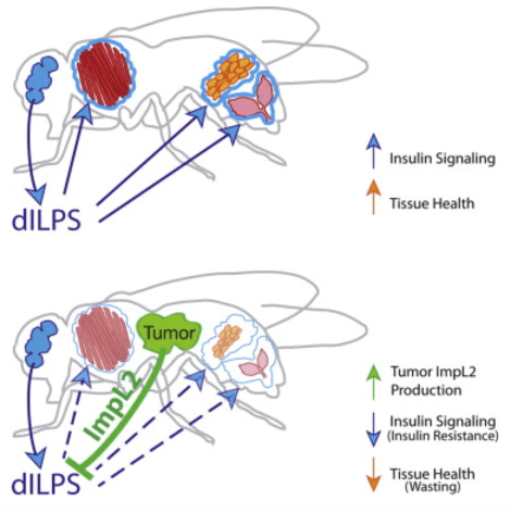 Screen Shot 2015-04-19 at 1.00.27 PM
