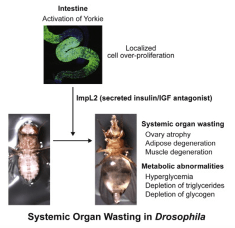 Screen Shot 2015-04-19 at 1.29.31 PM