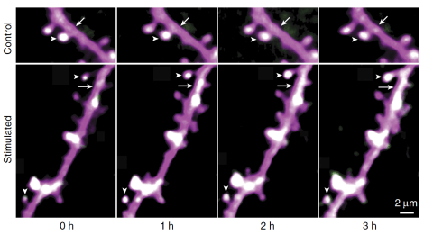 Screen Shot 2015-04-26 at 7.09.35 PM