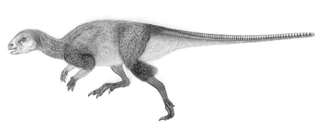 Screen Shot 2015-05-03 at 1.22.18 PM