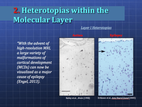 Screen Shot 2015-05-24 at 8.34.39 PM