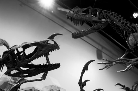 Tanycolagreus_topwilsoni