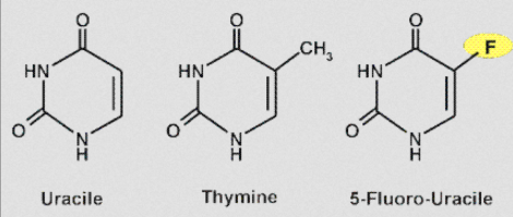 Screen Shot 2015-11-15 at 4.22.49 PM