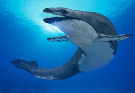 Basilosaurus.jpg