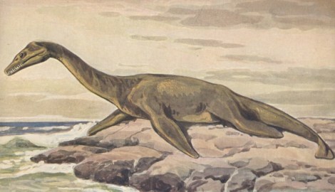 Plesiosaur_on_land.jpg