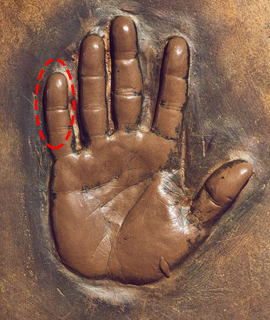 trump_hand_split-h_2016_thr