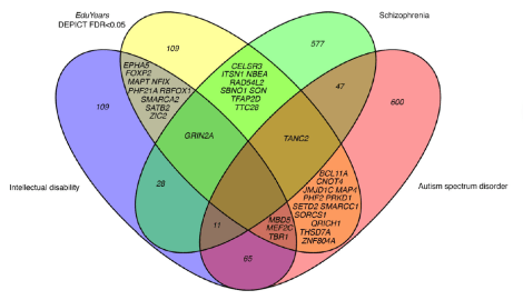 Screen Shot 2017-06-25 at 5.06.48 PM.png