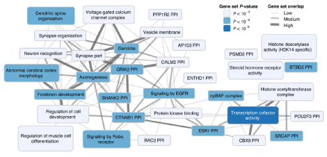 Screen Shot 2017-06-25 at 5.56.53 PM.png