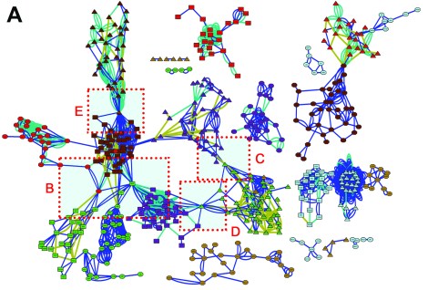 Colour_Image_3_small(1)